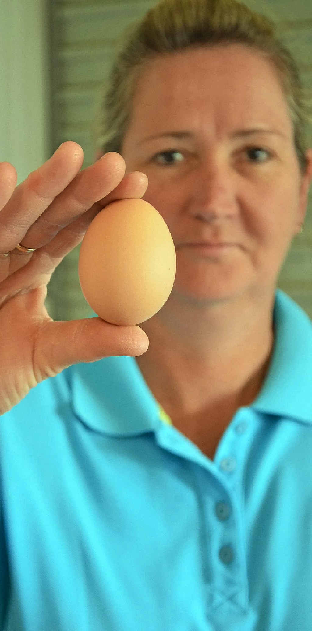 An imported grading machine ensures the eggs are graded to national standard with 12 eggs weighing on average 800g. An imported grading machine ensures the eggs are graded to national standard with 12 eggs weighing on average 800g.
